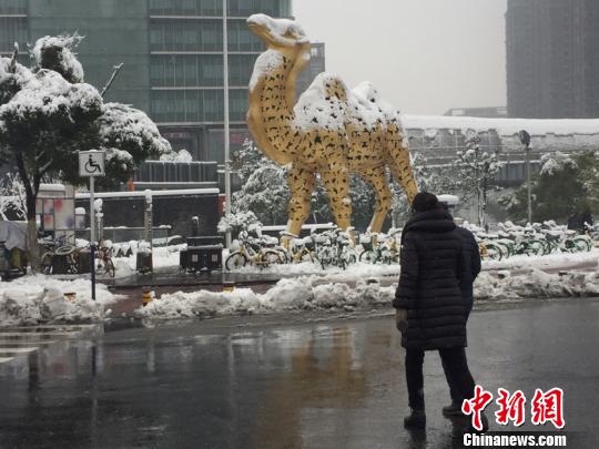 合肥陌头一景。　吴兰　摄